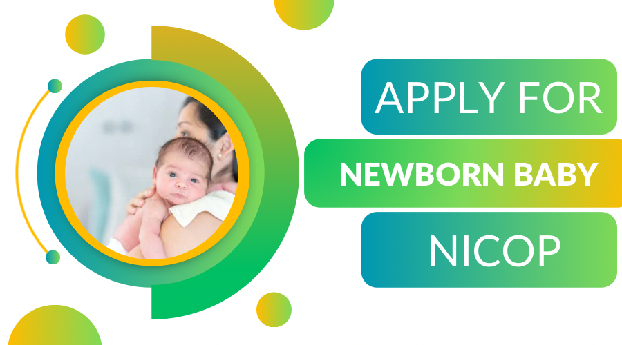 How to Apply For NICOP Online For Newborn Baby - New Nadra Card